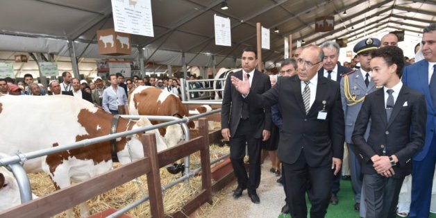 Moulay Hassan inaugure la 11e édition du Salon international de l'agriculture au Maroc (Siam 2016)