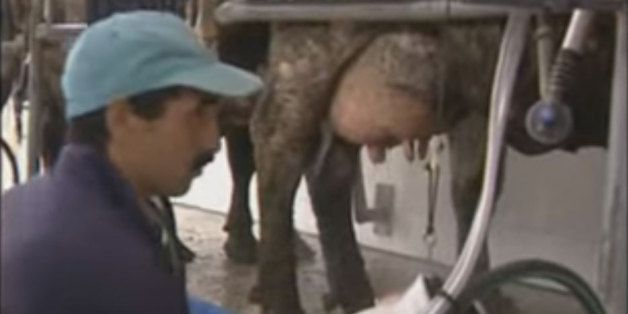 Capture d'écran d'une vidéo