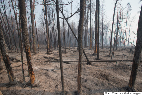 Fort McMurray Fire: This Is What The City Looks Like Now