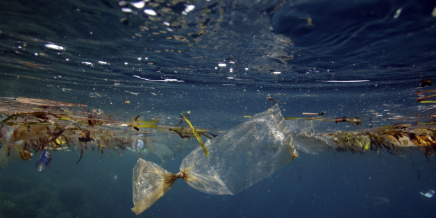 Plastic bag and other garbage floating underwater at Pulau Bunaken