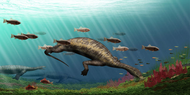 C'est le plus vieux reptile marin herbivore découvert.