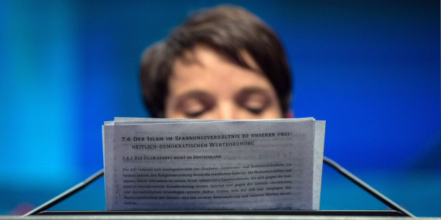 AfD-Chefin Frauke Petry: Ihre Partei lässt derzeit nach möglichen Spitzeln in der AfD-Parteizentrale fahnden (Archivbild)