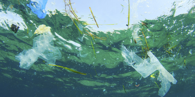 Pollution of oceans with plastic trash