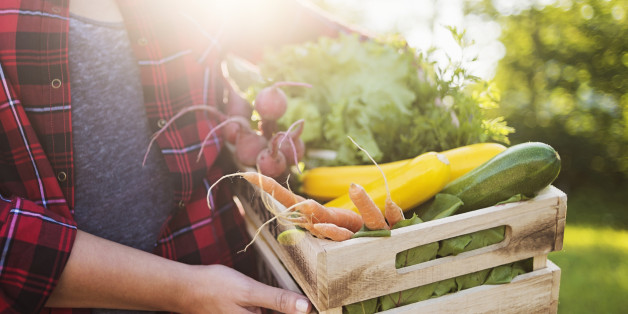 Mid section of woman holding crate with vegetables