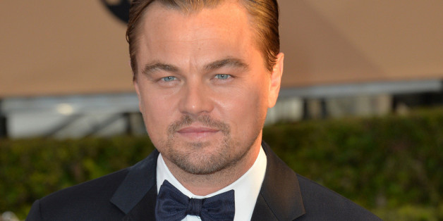 Leonardo DiCaprio reiste zur Verleihung eines Umweltpreises mit dem Privatjet an