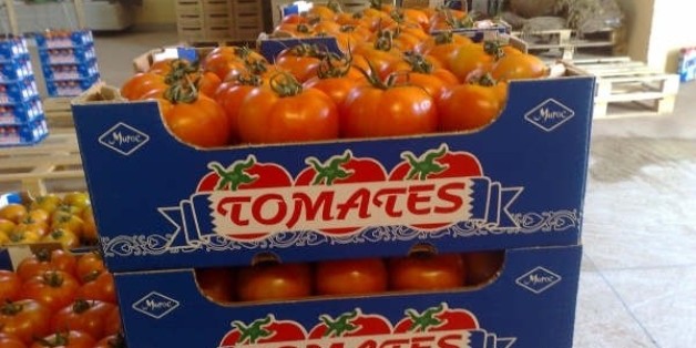 Les producteurs de tomates espagnols en colère contre le Maroc