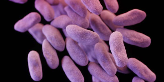 Cette nouvelle super-bactérie signe le début de la fin des antibiotiques