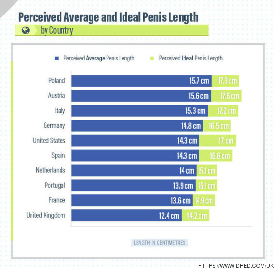 El Tama O Ideal Del Pene En 10 Pa Ses El Huffington Post   O ENCUESTA PENE 570 