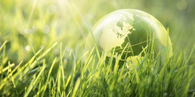 planet in grass - usa