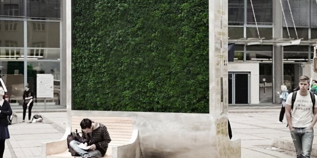 Die Bäume der Zukunft? Mit dieser kuriosen Idee will ein Start-up die Stadtluft verbessern