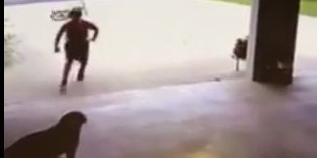Überwachungskamera offenbart, was der Nachbar täglich mit dem Hund anstellt