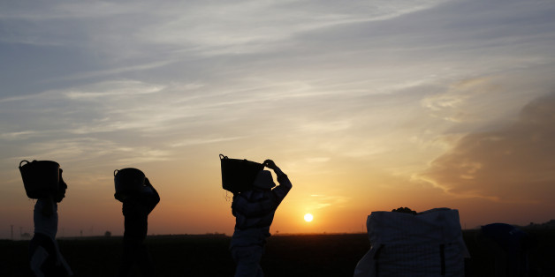 Day labourers carry baskets of potatoes in a field belonging to Spanish farmer Santiago Perez in the southern Spanish region of Murcia June 6, 2013. The majority of day labourers in the region come from Morocco and Ecuador, and it can be rare to see Spanish labourers in the fields. Nevertheless, as Spain wrestles with economic crisis and youth unemployment levels above 50 percent, some young Spaniards are starting to consider the kinds of jobs mostly performed by immigrants during the boom years