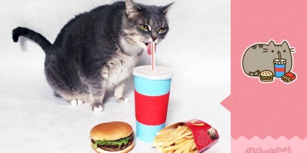 Il reproduit les célèbres stickers de Facebook avec son chat