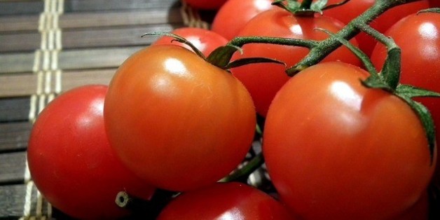 Les légumes marocains ont la cote en Espagne (et dans les autres pays de l'UE)
