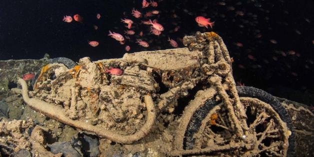 Fotograf entdeckt Wrack: Die Bilder sind gruselig - und magisch