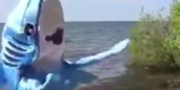 "Shark-ira", la parodie insolite de "Hips don't lie" de Shakira