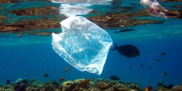 Le ministère de l'Intérieur a adressé une circulaire aux walis et gouverneurs