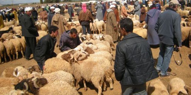 Il tue son associé pour 1.000 dirhams