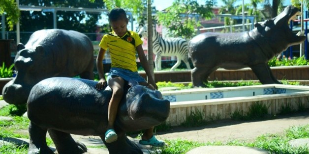 Des répliques d'hippopotames ornent même l'entrée d'un restaurant et l'aire de jeux du square à Doradal, en Colombie, où le baron de la drogue Pablo Escobar avait bâti sa luxueuse hacienda et ouvert un zoo privé