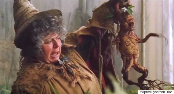 mandrake