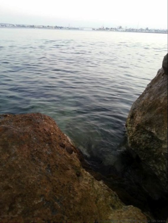 bizerte