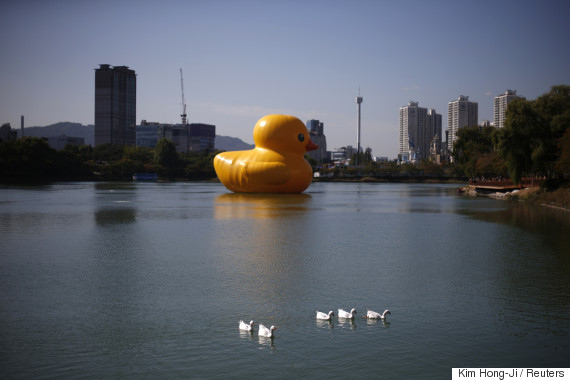 rubber duck seoul