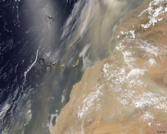 sahara