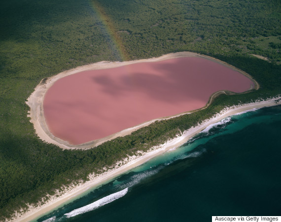pink lake hillie