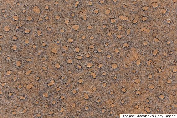 fairy circles
