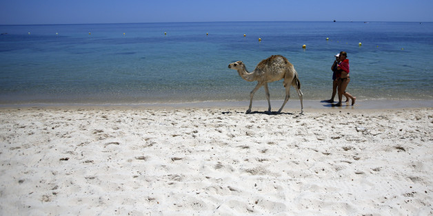 FILE - In this June 28, 2015 file photo, tourists and a baby camel walk on a beach in front of the Imperial Marhaba Hotel in Sousse, Tunisia. The blood on the sand has washed away, but the damage wreaked on Tunisia by a few terrifying minutes of gunfire at a beach resort will be deep and lasting. The tourist economy is likely to be gutted: Up to 2 million hotel nights per year are expected to be lost, hastened by warnings from Britain and other European governments last week that their citizens are no longer safe on . (AP Photo/Darko Vojinovic, File)