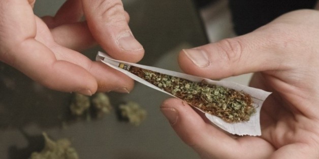 Quels scénarios si le Maroc légalisait le cannabis?