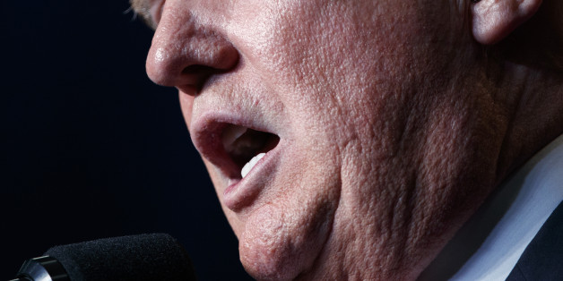 Republican presidential candidate Donald Trump speaks during a campaign rally, Friday, Aug. 5, 2016, in Green Bay, Wis. (AP Photo/Evan Vucci)