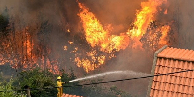 Un pompier lutte contre le feu sur l'île de Madère, le 9 août 2016