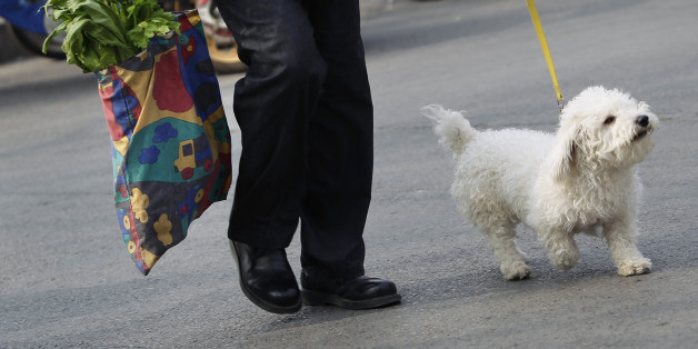 A resident carrying vegetables, leaves a market with her pet dog, in central Beijing, April 9, 2012. China's annual inflation rebounded sharply in March to 3.6 percent, driven by rising food prices, data showed on Monday, surprising investors who had bet on cooling price pressures to give Beijing room to ease monetary policy. REUTERS/Jason Lee (CHINA - Tags: BUSINESS ANIMALS)