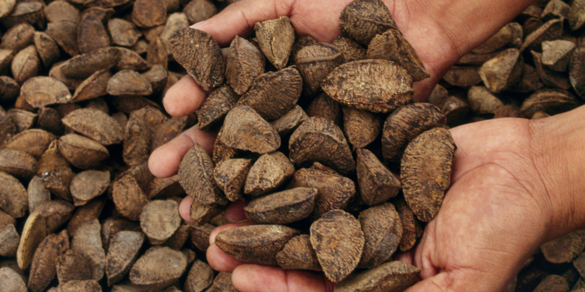 turns-out-brazil-nuts-aren-t-nuts-and-they-usually-aren-t-brazilian