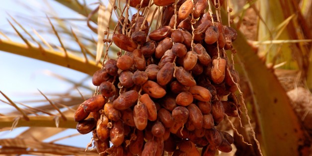 Dates, Mafo, Lybia. (Photo by: Godong/UIG via Getty Images)