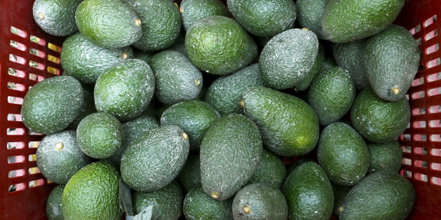 Warum die Umwelt unter dem weltweiten Avocado-Boom leidet
