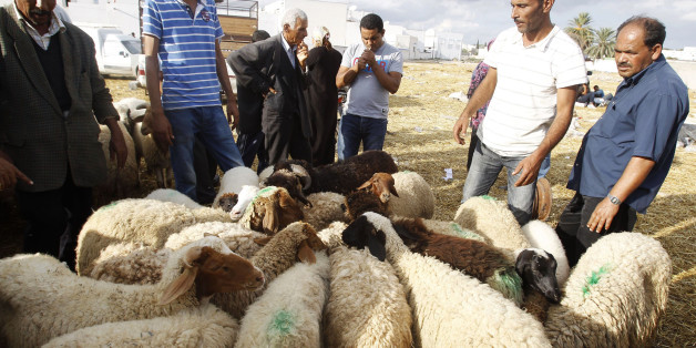 Tunisians buy sheep ahead of the Eid al-Adha festival in Tunis October 25, 2012. Muslims around the world celebrate Eid-al-Adha, marking the end of the haj, by slaughtering sheep, goats, cows and camels to commemorate Prophet Abraham's willingness to sacrifice his son Ismail on God's command. REUTERS/Zoubeir Souissi (TUNISIA - Tags: ANIMALS RELIGION)
