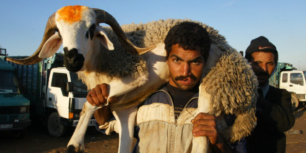 L'Aïd Al Adha, ou le business juteux du mouton 2.0