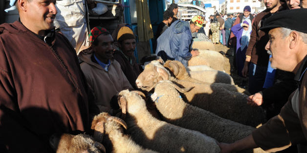 TO GO WITH AFP STORY BY Herve GUILBAUD Sheep vendors talk to potential buyers on December 5, 2008 in Rabat ahead of Muslim religious holiday Aid el-Kebir. AFP PHOTO / ABDELHAK SENNA (Photo credit should read ABDELHAK SENNA/AFP/Getty Images)