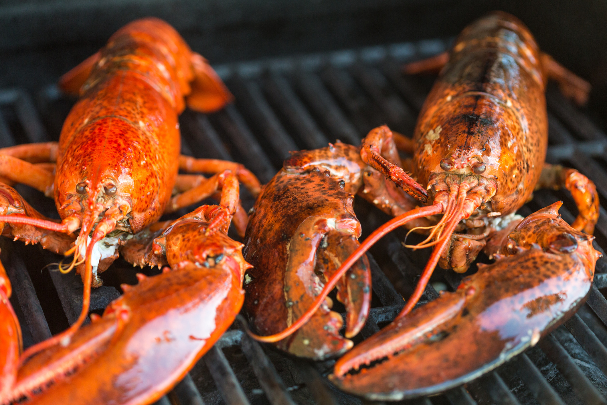 EU's Proposed Ban On Canadian, U.S. Lobsters Inches Forward HuffPost