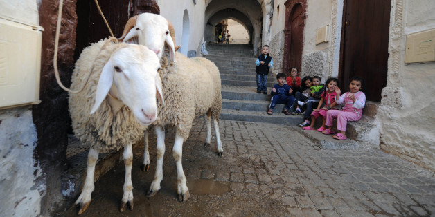 Des enfants avec les moutons à la veille de l'Aïd Al Adha à Alger, novembre 2011 (archives)