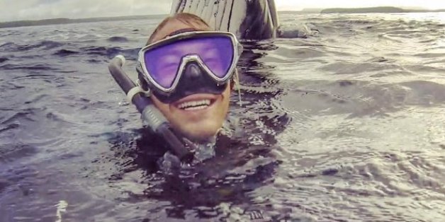 Dans les eaux du Tonga, une baleine s'est invitée dans le selfie d'un voyageur.