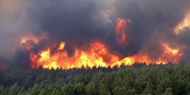 Le nord du Maroc de nouveau touché par un feu de forêt, 190 ha ravagés