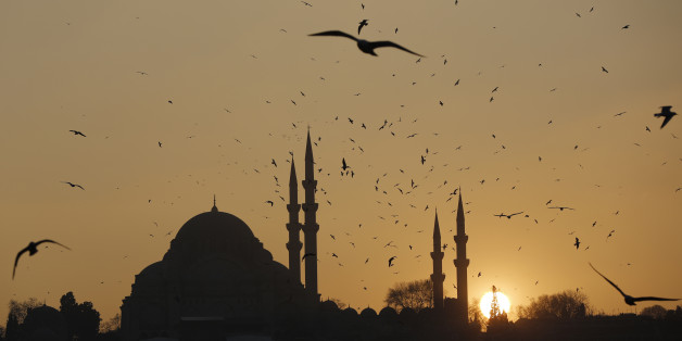 The sun sets over the Ottoman-era Suleymaniye mosque in Istanbul January 8, 2014. REUTERS/Murad Sezer (TURKEY - Tags: ENVIRONMENT RELIGION)
