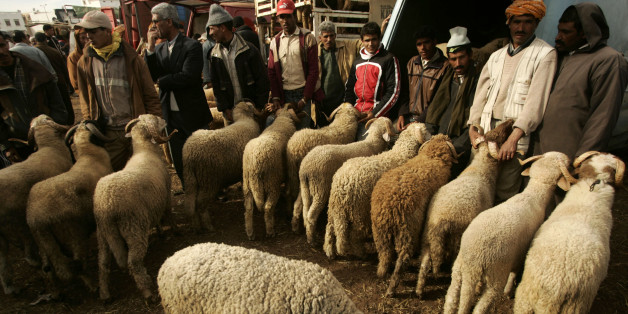 Les petits métiers saisonniers de l'Aïd Al Adha