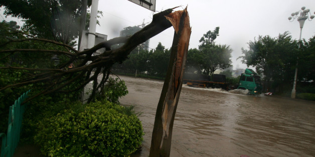 QUANZHOU, CHINA - SEPTEMBER 10: (CHINA OUT) Fallen trees lay on the ground after being hit by Typhoon Meranti on September 10, 2010 in Quanzhou, Fujian Province of China. Meranti, the 10th typhoon to hit China this year, made landfall at Shishi City in the southeastern Chinese province of Fujian at 3:30 a.m. Friday, according to provincial flood control authorities. (Photo by VCG via Getty Images)
