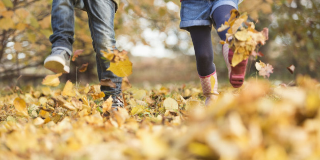Children walking in autumn leaves