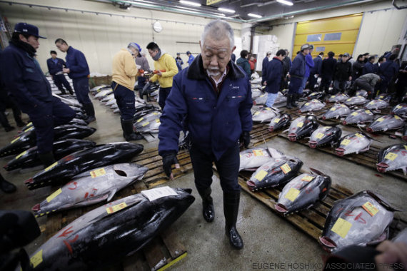 comprador de peixes