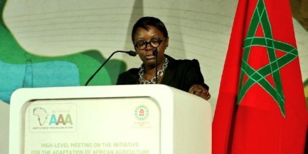 Lutte contre le changement climatique: la BAD veut aider le Maroc